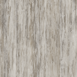 K 084 SN - Olmo gris